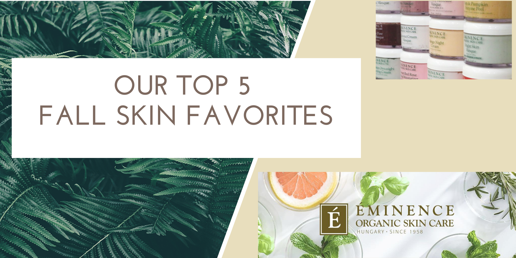 Our Top 5 Fall Skin Favorites by Eminence Organics